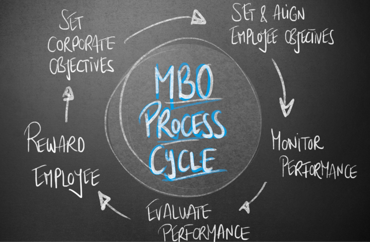 il processo di un sistema MBO identificare i dipendenti, onitorare le performance MBO, valutazione delle performance, aggiustamenti obiettivi Mbo 